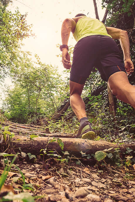 ULTRA SUD CANIGOU MONTAGNE