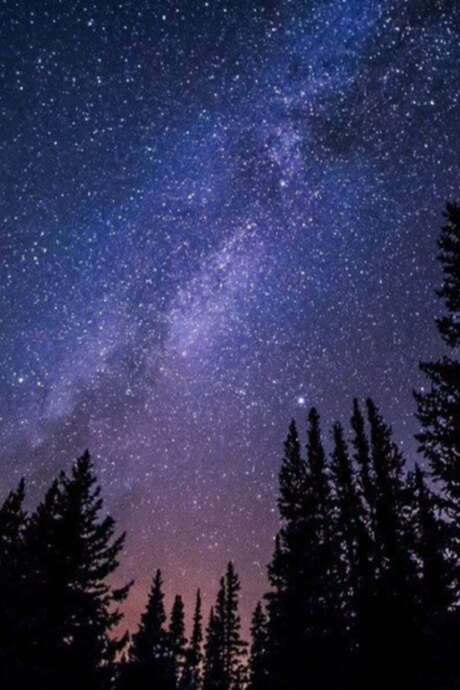 NUIT DES ÉTOILES