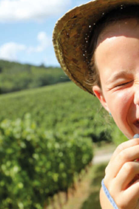 FERMES EN FÊTE AUX SAVEURS PAYSANNES