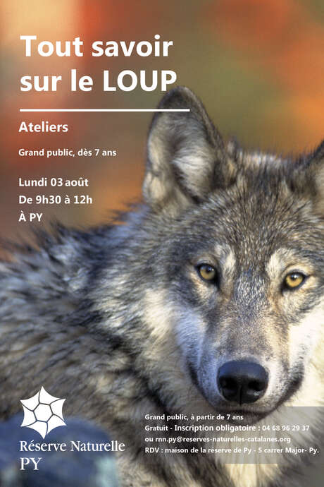FESTIVAL NATURE : TOUT SAVOIR SUR LE LOUP