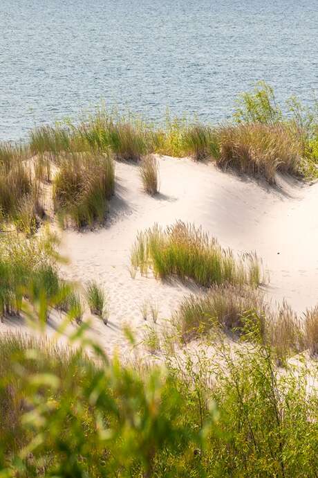 LE MONDE DE LA DUNE