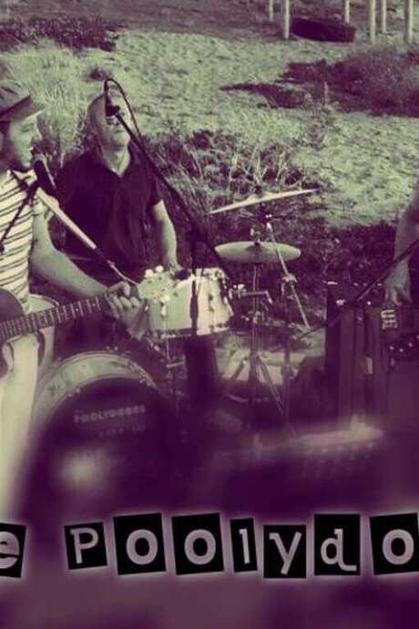 NOËL MAGIQUE AVEC LES POOLYDOORS