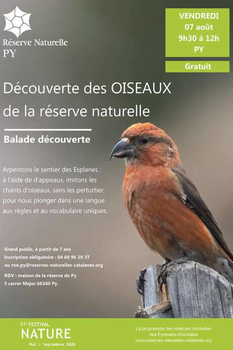 BALADE DÉCOUVERTE : DÉCOUVERTE DES OISEAUX DE LA RÉSERVE NATURELLE