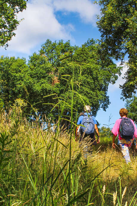 RANDO DECOUVERTE "PAYSAGES ET PATRIMOINE EN MONTAGNE"