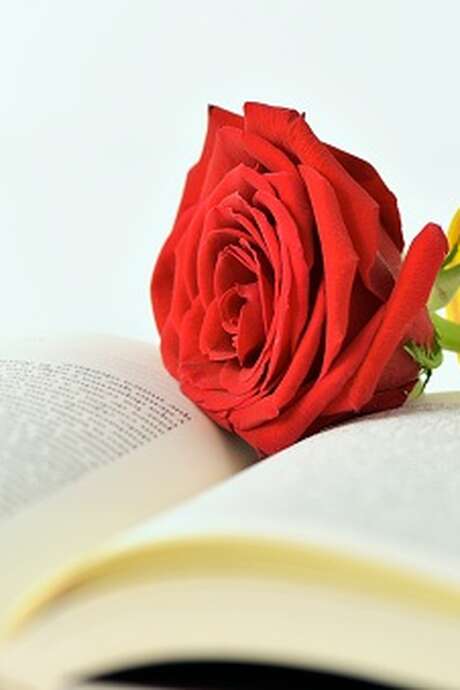 SANT JORDI A PORT-VENDRES