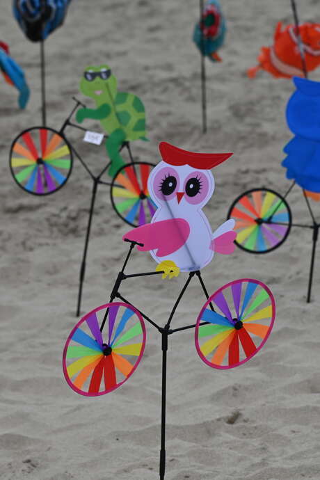 FESTIVAL DU CERF VOLANT