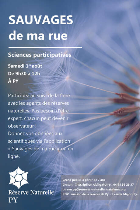 SCIENCE PARTICIPATIVE : SAUVAGES DE MA RUE
