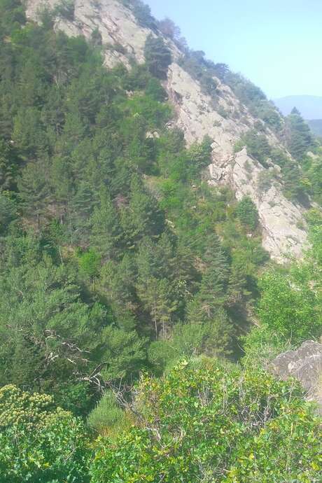 RANDO ACCOMPAGNEE : CHAPELLE SAINT-ETIENNE DE POMERS ET LA FORET DE CLARA