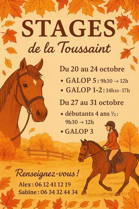 STAGE D'ÉQUITATION CHÂTEAU-MOREAU STAGE D'ÉQUITATION CHÂTEAU-MOREAU