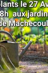 BOURSE AUX PLANTES