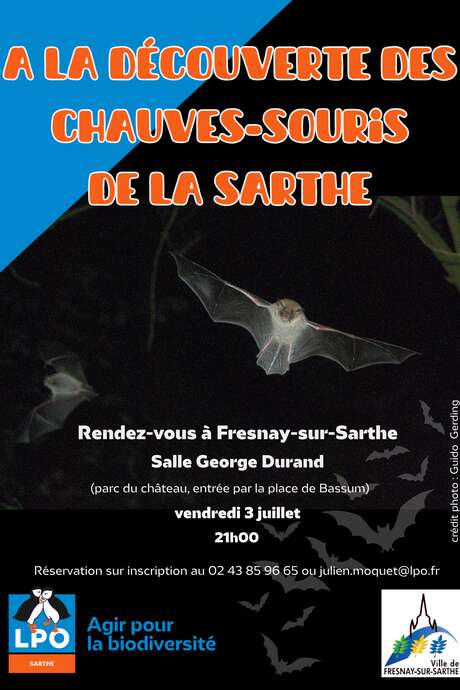 Sortie "À la découverte des chauves-souris de la Sarthe"