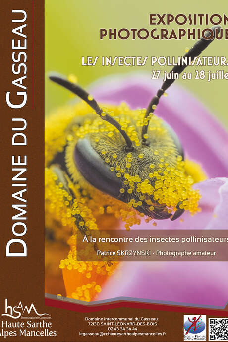 Exposition "Les insectes pollinisateurs"