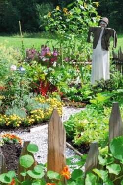 ATELIER CONCEVOIR SON JARDIN CORCOUÉ SUR LOGNE