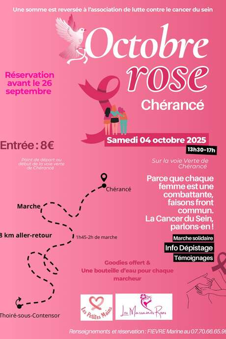 Marche solidaire de 8 kilomètres pour Octobre Rose