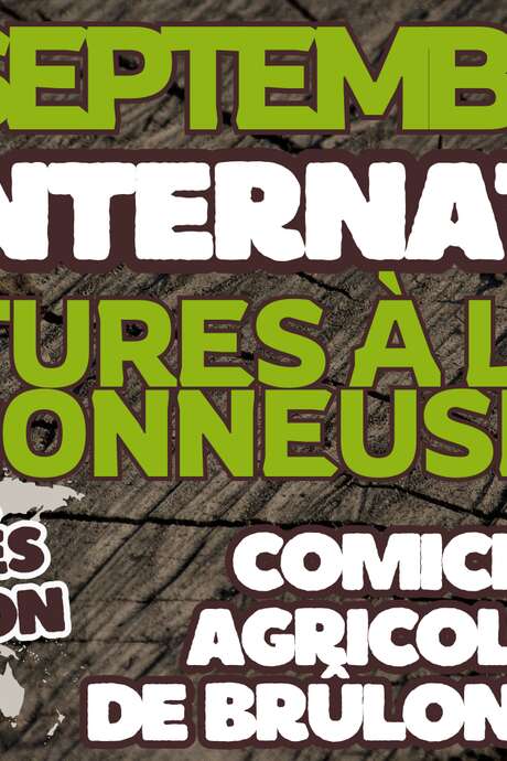 Le Comice Agricole de Brûlon reçoit l'OPEN INTERNATIONNAL de Sculptures à la Tronçonneuse ! Le Comice Agricole de Brûlon reçoit l'OPEN INTERNATIONNAL de Sculptures à la Tronçonneuse !