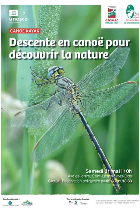 Descente en canoë pour découvrir la nature