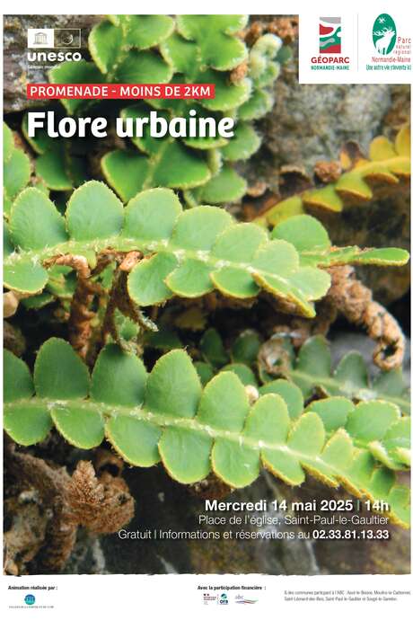 Promenade "Flore urbaine"