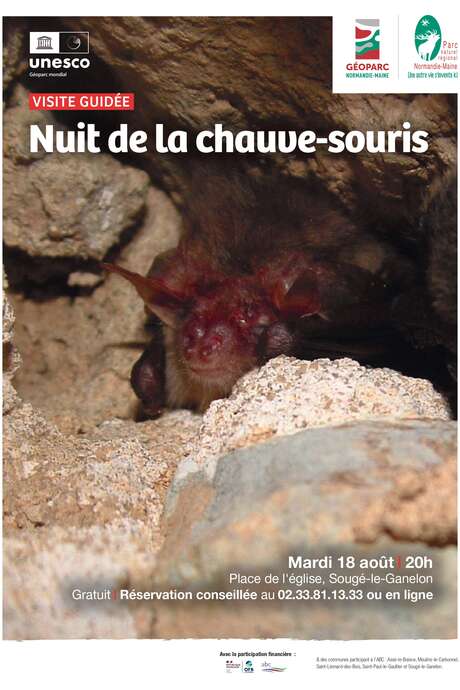 Visite "Nuit de la chauve-souris"