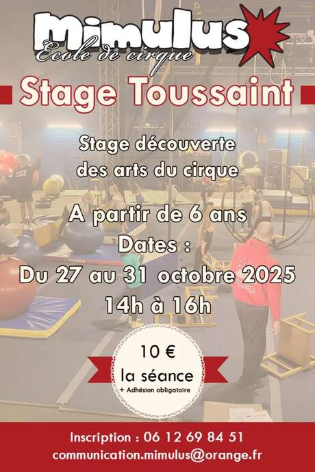 Stage enfant découverte des arts du cirque