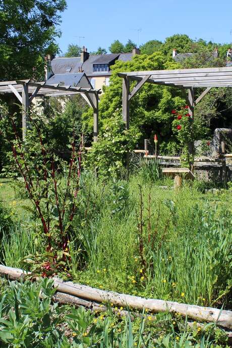 Visite enfant : Tous au jardin médiéval !