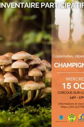 INVENTAIRE CHAMPIGNONS CORCOUÉ SUR LOGNE