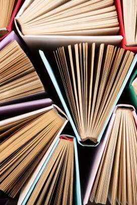 ECHANGES AUTOUR DE LA LITTERATURE YOUNG ADULT