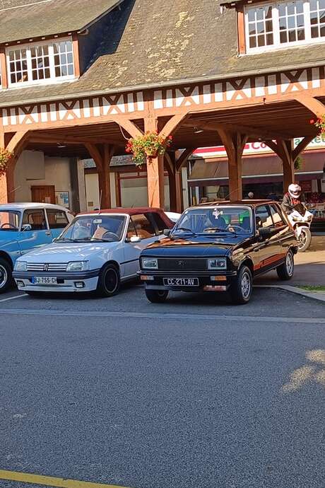 Rassemblement 2cv, méharis et dérivés