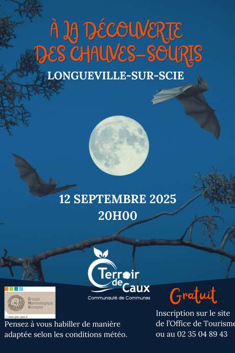 A la rencontre des chauves-souris
