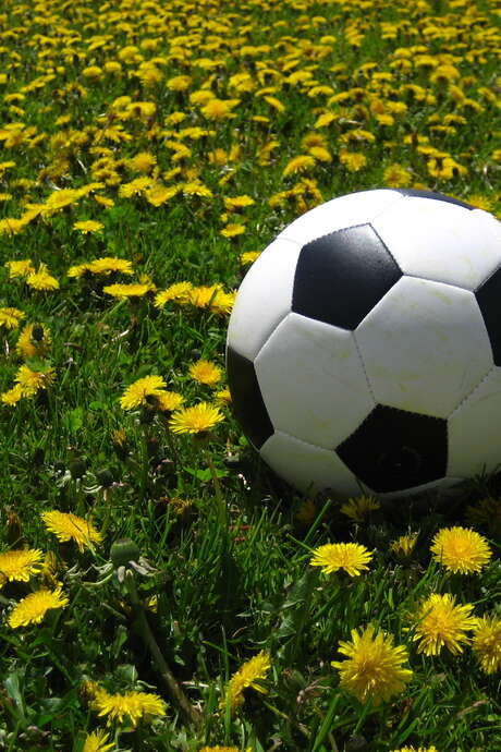 Tournoi de Football Jeunes