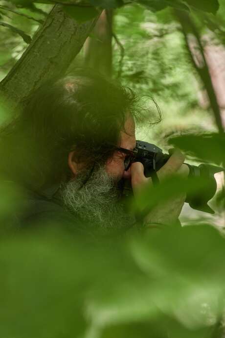 [Exposition temporaire] "A fleur de forêt" de Jacques Perconte