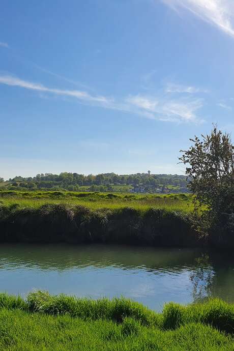 Balade commentée : Faune et Flore du marais de la Saâne