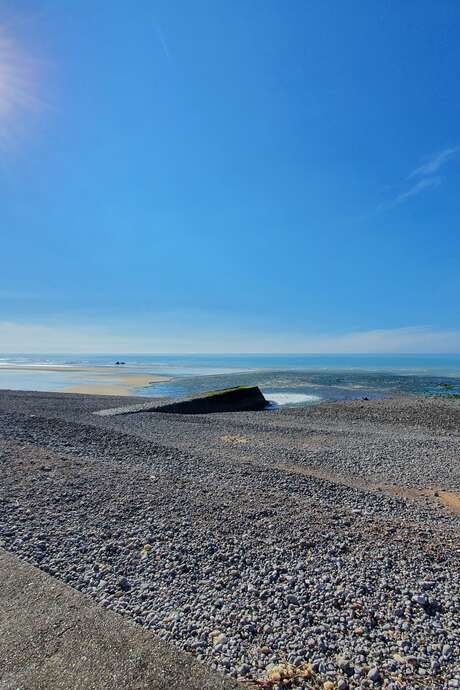 Découverte du littoral