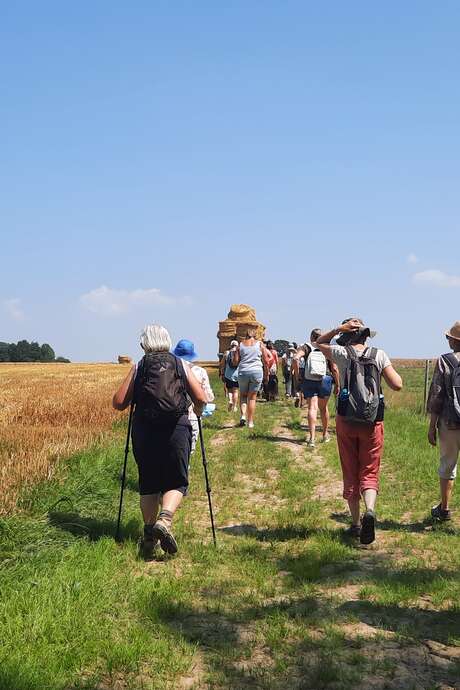 Randonnée pédestre