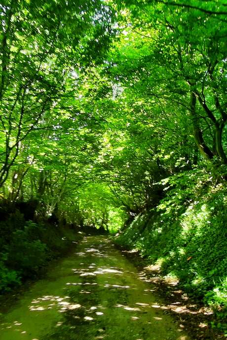 Randonnée apéro My French Rhum