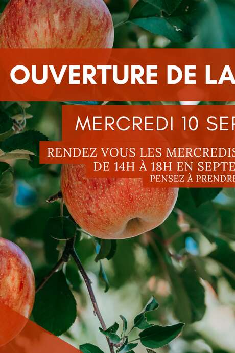 Ouverture de la cueillette du verger de Beaunay