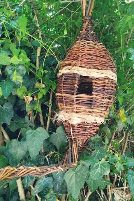 Cours de Vannerie sauvage et d'osier
