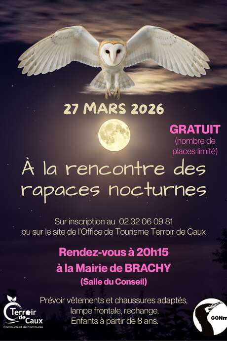 A la découverte des rapaces nocturnes