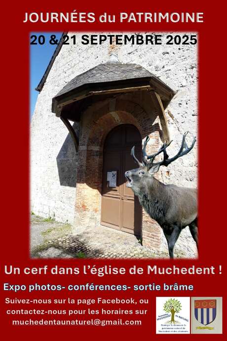 Journées du Patrimoine à l'église Saint-Pierre - Un cerf dans l'église