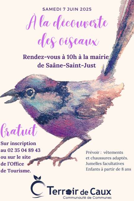 A la découverte des oiseaux
