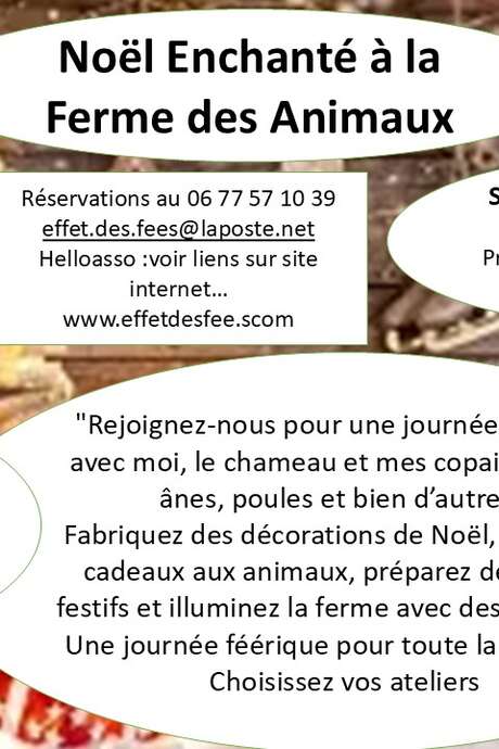 Noël féerique à l'effet des fées