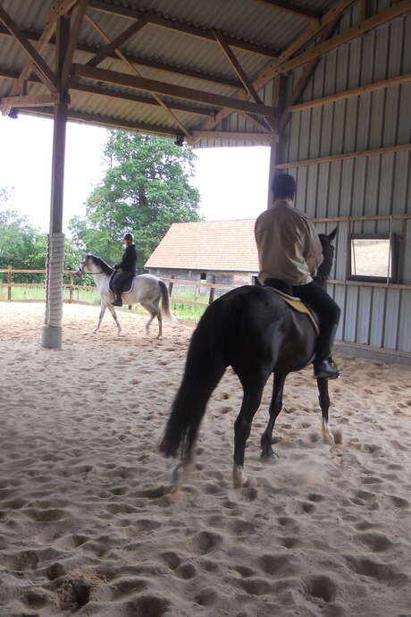 Après-midi découverte aux écuries des Grandes Plaines