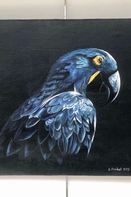 Exposition de peinture : Céline Fimbel et Patrick Adville