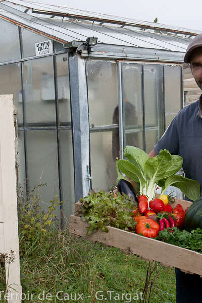 Visite de la Ferme Aquaponique