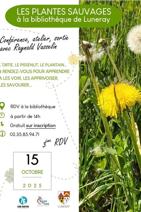 Les plantes sauvages