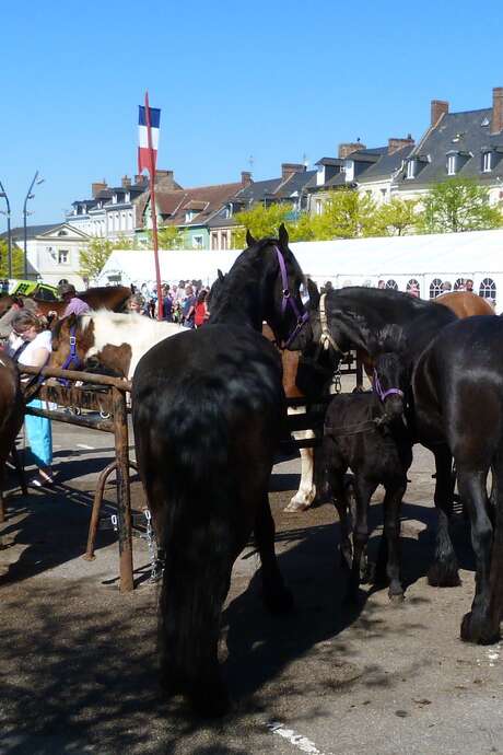 Foire Agricole de Bacqueville en Caux