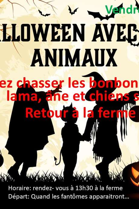 Halloween avec les animaux