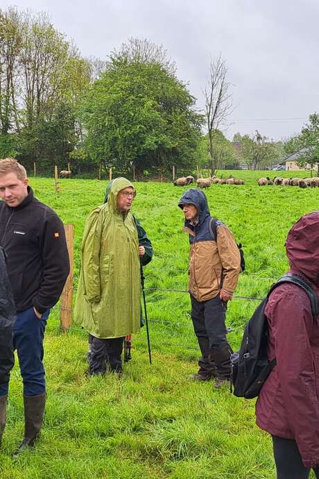 Mercredi savoir-faire : Visite de l'élevage Captain' Suffolk