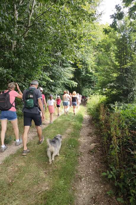 Randonnée découverte de l'Atelier et Grimoires d'Eawy