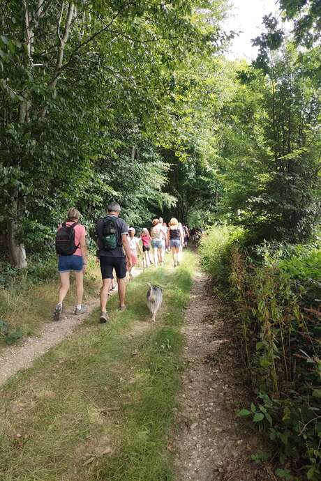 Randonnée découverte des Ecuries des Grandes Plaines
