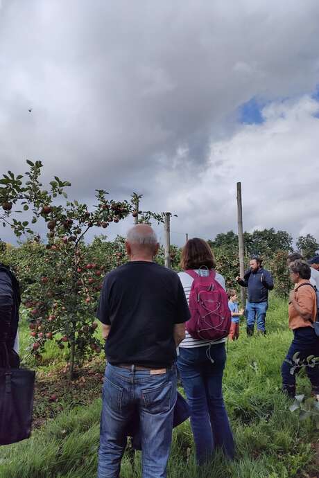 Visite quizz au Verger de Beaunay